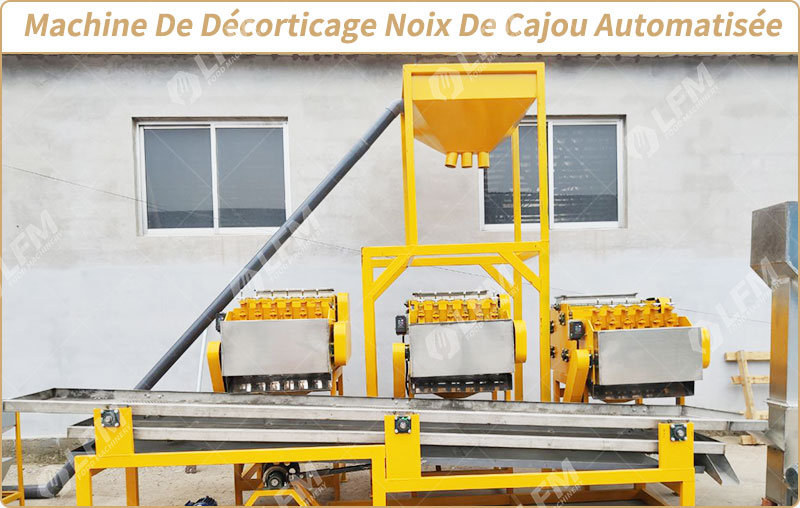 Machine De Décorticage Noix De Cajou Automatisée.jpg