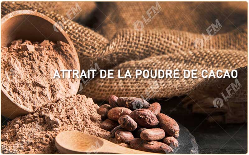 Attrait De La Poudre De Cacao : Explorer Son Charme Irrésistible.jpg