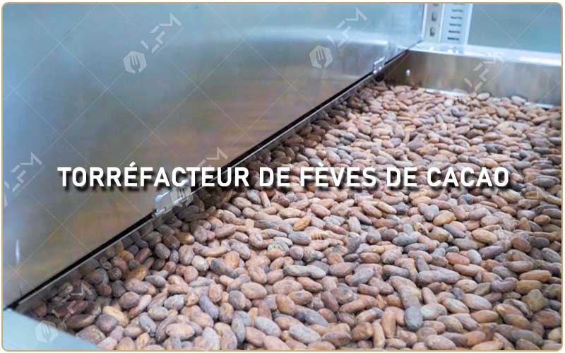 Torréfacteur De Fèves De Cacao.jpg