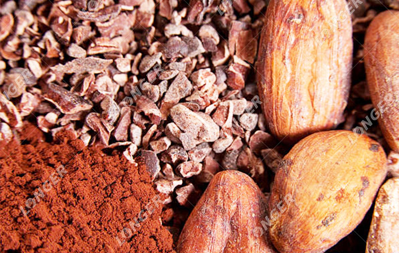 Fèves De Cacao.jpg