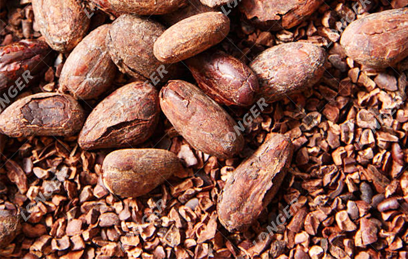 Les Fèves De Cacao.jpg