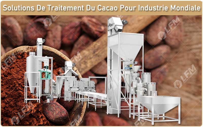 Solutions De Traitement Du Cacao Pour Industrie Mondiale.jpg