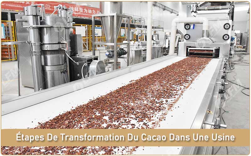 Étapes De Transformation Du Cacao Dans Une Usine.jpg
