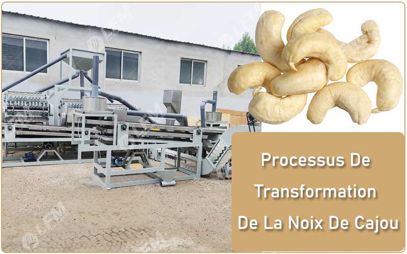 Processus De Transformation De La Noix De Cajou.jpg
